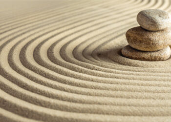 Grandparents Reap the Benefits of Mindfulness: Enhancing Well-being and Strengthening Relationships