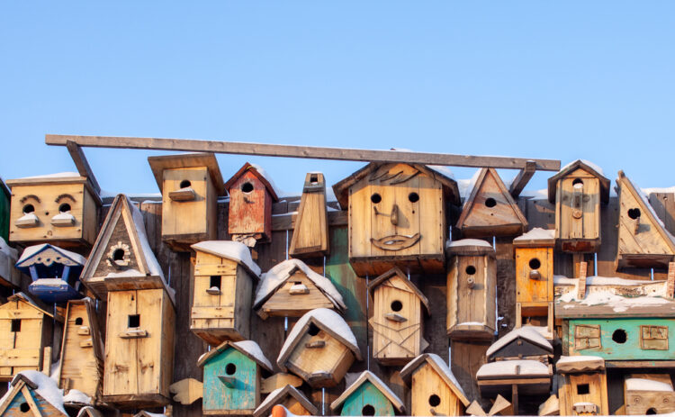How Building Bird Houses can be Helping Grandparents and Nature
