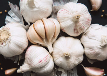 The Power of Garlic: A Natural Ally for Grandparents in the Battle Against High Blood Pressure