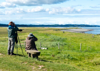 Discover the Joys of Bird Spotting in Retirement: A Fun and Engaging Hobby for Nature Lovers